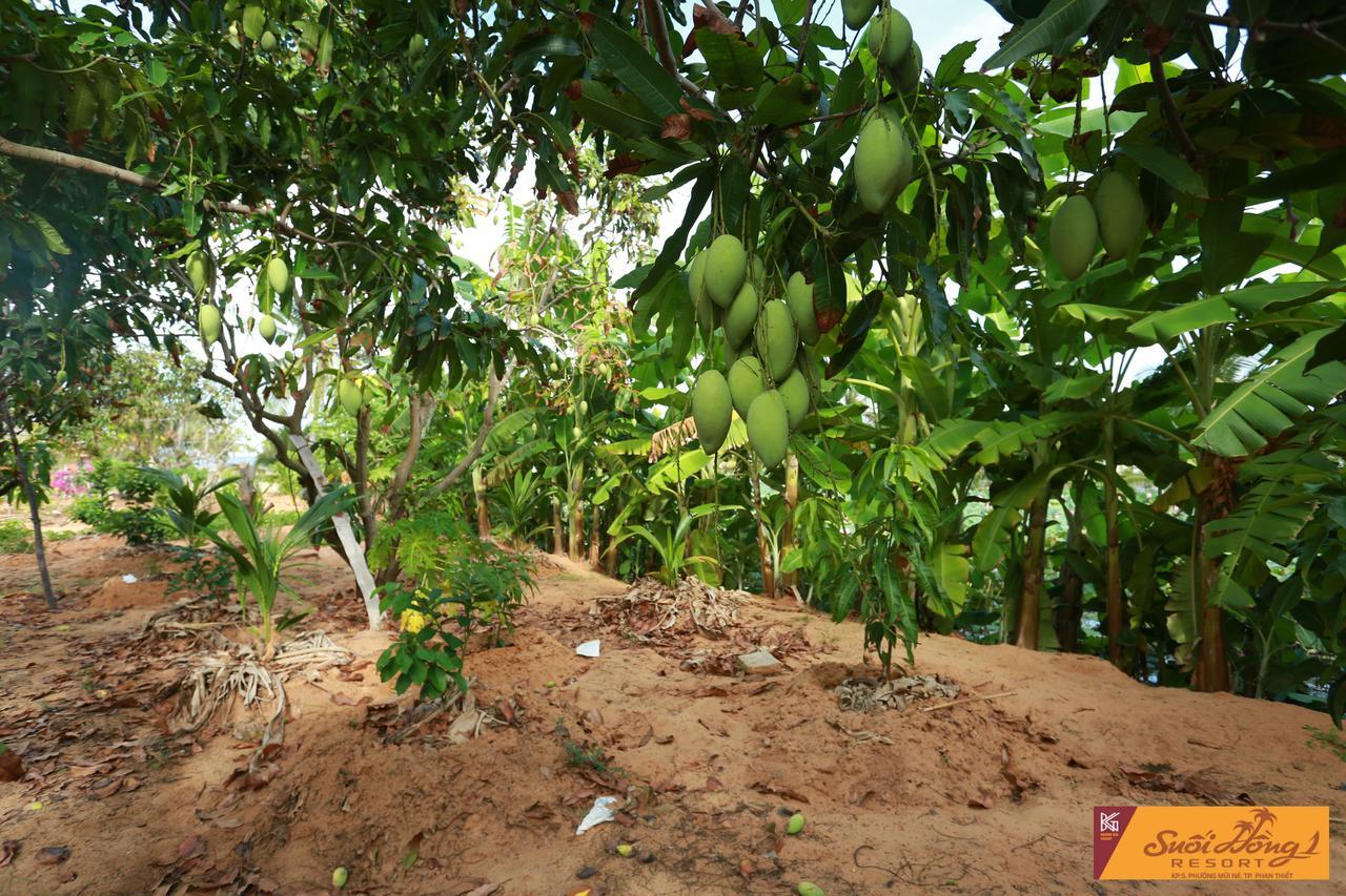 Suoi Hong Resort Mũi Né Buitenkant foto