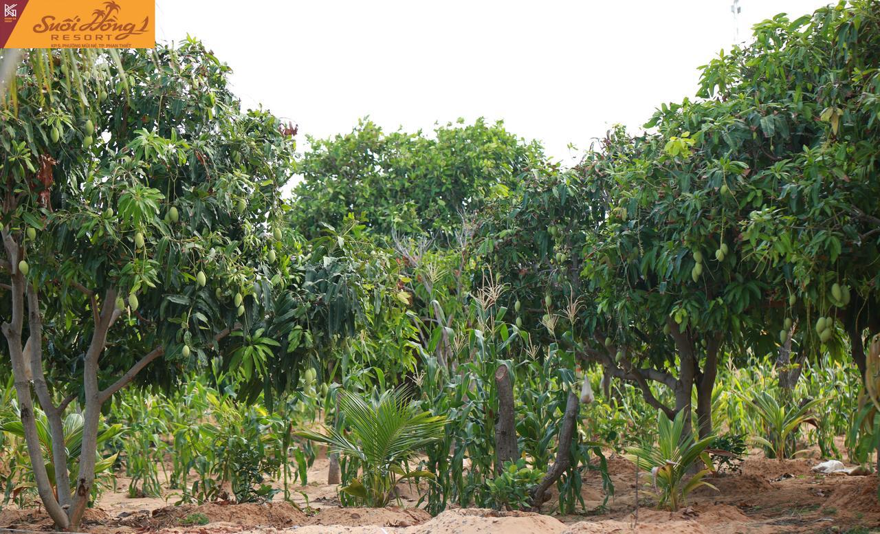 Suoi Hong Resort Mũi Né Buitenkant foto